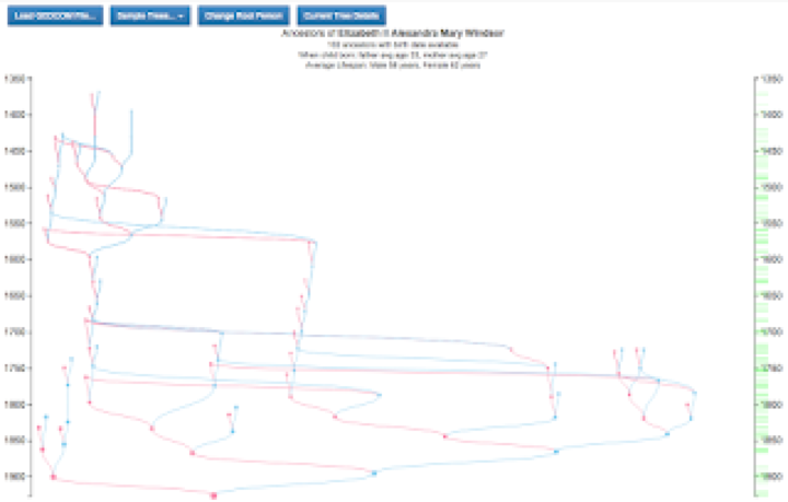 Family tree viewer visualization