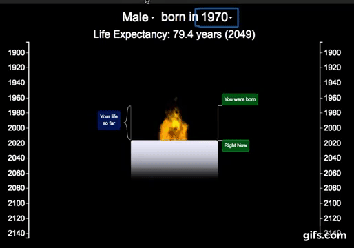 Animated Flame of Life timeline visualization
